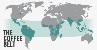 Today, Specialty Coffee Is Grown And Processed In Dozens - Capital Of The Whole World #8300785