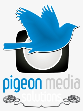 Pigeon #8300844