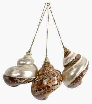 More Views - Brass #8302039