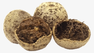 Fruits - Wood Apple Fruit Juice #8302096