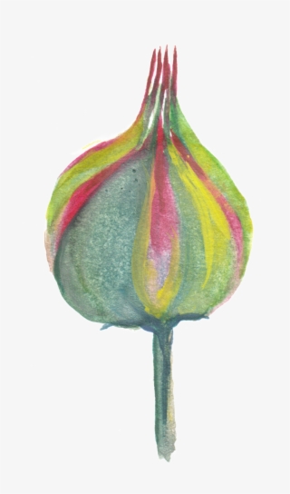 Camouflage Flower Transparent Decorative - Vegetable #8302504