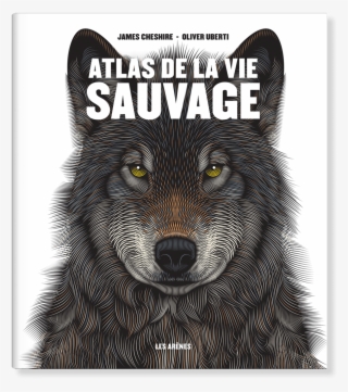 France - Grizzly Bear #8303897 France - Grizzly Bear #8303897