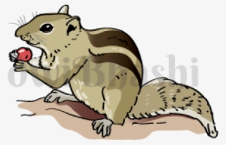 Indian Clipart Squirrel - Illustration #8304168
