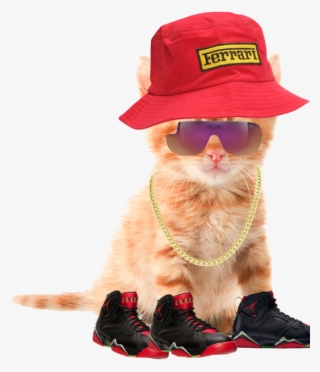 Costume Hat #8304759 Costume Hat #8304759