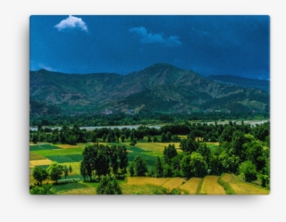 Green Mountain Distance With Trees - Summit #8305547