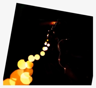 Fairy Lights Png ➤ Download - Still Life Photography #8305634