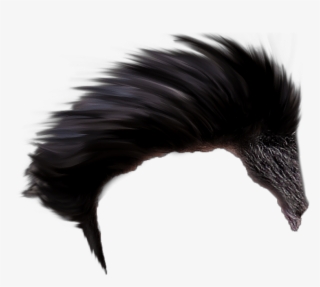 "<yoastmark - " - Black Hair Png Boy #8307597