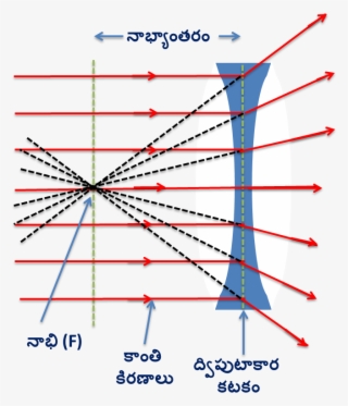 Diverging Rays - Diagram #8308257