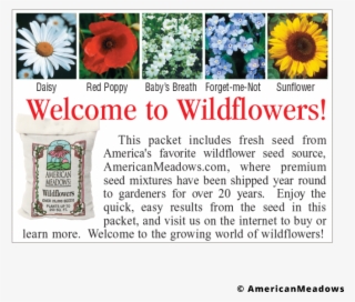 Baby's Breath Seed Packet - Sunflower #8308429