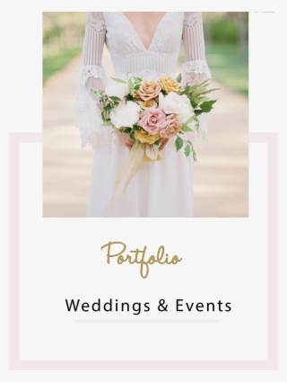 Gallery2 - Garden Roses #8308670