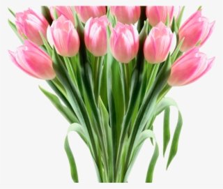Tulip Clipart Flower Bokeh - 8 Марта Картинки Png #8308810