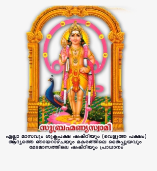 Kartikeya #8309152
