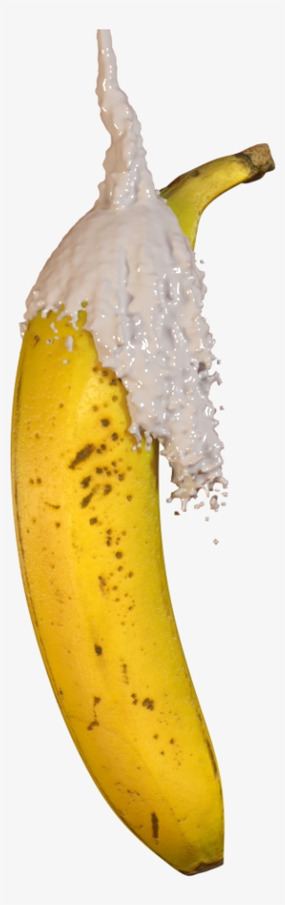 Follow The Banana Is Featured On Thecgbros On - Saba Banana #8309720