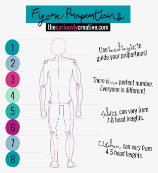 Figure Proportion Drawings - Head Proportion Drawing Height #8310129