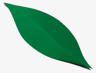Find Lavva Near You - Tree #8310207