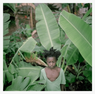 Featured Artists - Ensete #8310288