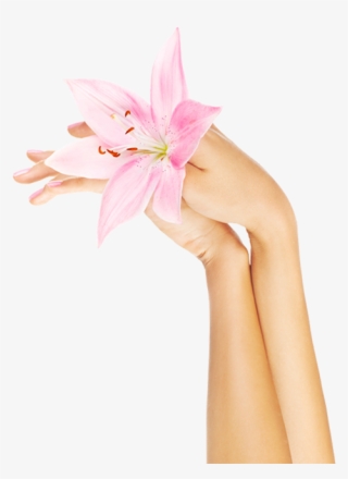 A Manicure From Lady Fingers - Lily #8311491