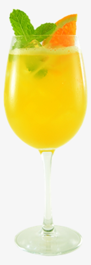 Mimosa Png #8311875