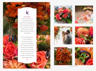 Garden Roses #8312225