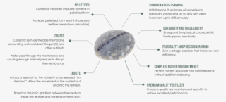 Banana Diagram - Igneous Rock #8312267