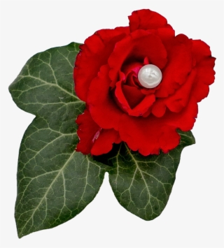 Wedding, Rose, Pearl, Ivy, Floral Decorations, Love - Begonia #8312269