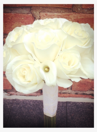 Garden Roses #8312336