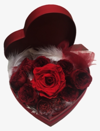 Preserved Rose Box - Garden Roses #8312394