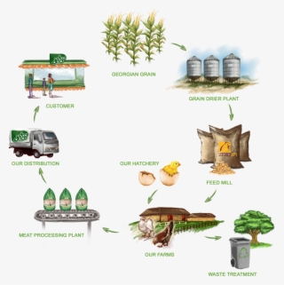 The Quality At Each Stage Of The Production Starting - Illustration #8312438