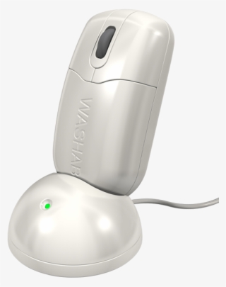 Skip To The Beginning Of The Images Gallery - Mouse #8312876