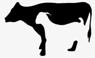 Cattle Clipart Qurbani - Sapi Kambing Png #8313453