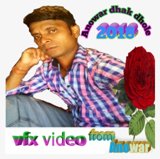 Anowar Dhak Dhole - Garden Roses #8313610