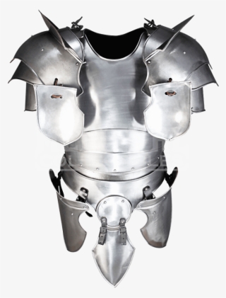 Paladin Knight Armour #8315396