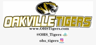 19 Jun - Mizzou Tigers #8318109