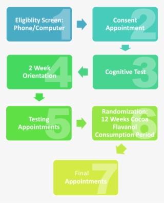 Our Research Assistants Work To Ensure That Participants - Parallel #8319604