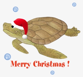 Favorite - Merry Christmas Sea Turtle #8320101