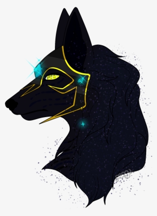 Celia - Schipperke #8321990