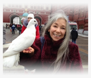 Pigeons And Doves #8322754