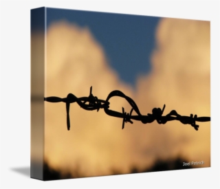 Barbed Wire City - Barbed Wire #8322861