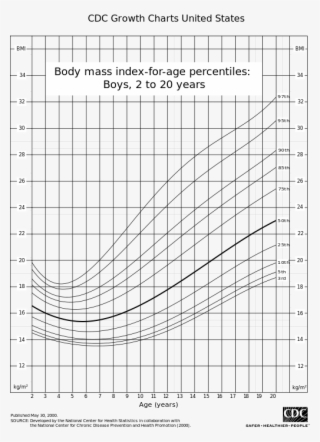 File - Bmiboys 1 - Svg - Hepa Filter Pressure Drop Graph #8323221