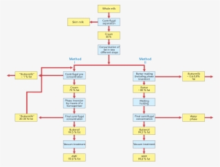 Zoom - Anhydrous Milk Fat Process #8323243