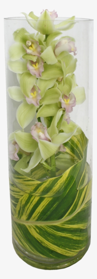 Cymbidium Orchid In Glass Tube, Perfect For A Modern - Vase #8324145