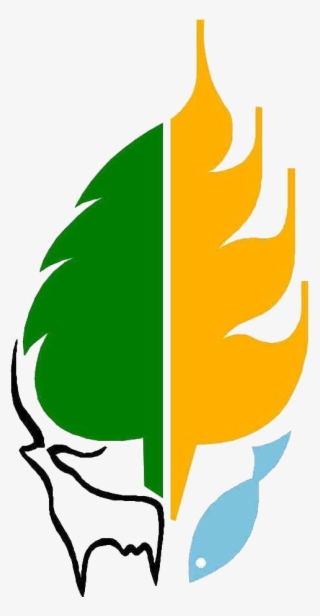 Naas Score - National Academy Of Agricultural Sciences #8324674