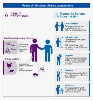 729 X 782 1 - Modes Of Infectious Disease Transmission #8325940