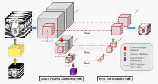 Yam Peleg Liked This - Diagram #8326908