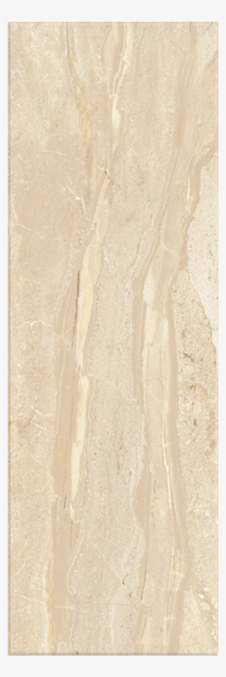 Marbles Porcelain Daino White Body Wall - Wood #8329799