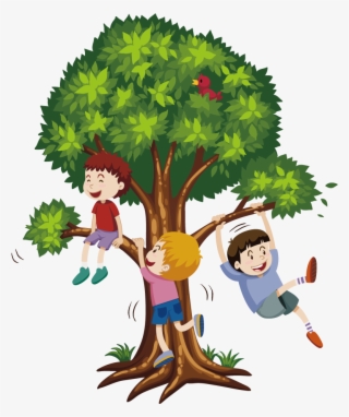 Tree Climbing Stock Photography Clip Art - Boy Climbing A Tree #8330029
