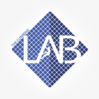 Madewell Blue Bandana #8330401