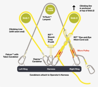 M System - Diagram #8330510