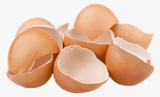 Food - Eggshells - Kulit Telur #8331132
