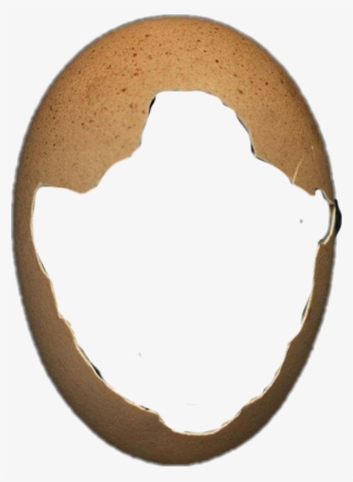 Report Abuse - Circle #8331395